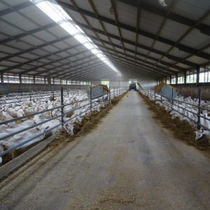 Conduit Aération de Crête - Éclairage naturel
