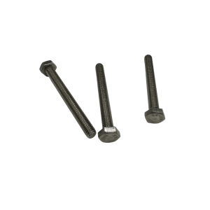 Vis SS M6X 55mm